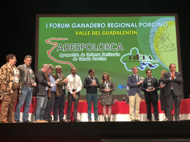 El Gobierno regional reclama medidas urgentes para impedir la entrada de la peste porcina de países terceros - 1, Foto 1