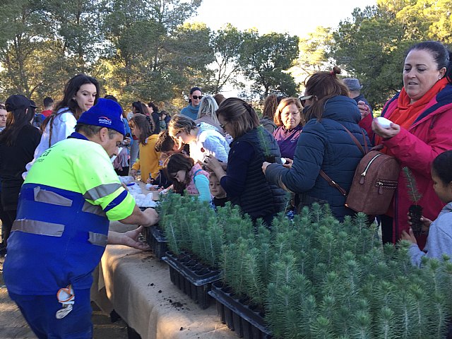 Los habitantes de Fuente Álamo se vuelcan con la plantación de pino carrasco en el Majal de Gracia - 1, Foto 1