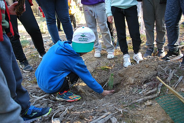 Los habitantes de Fuente Álamo se vuelcan con la plantación de pino carrasco en el Majal de Gracia - 3, Foto 3