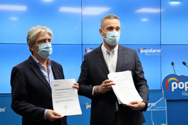 El PP abre un registro público de todos sus cargos regionales para demostrar que ninguno se ha saltado el protocolo de vacunación - 1, Foto 1