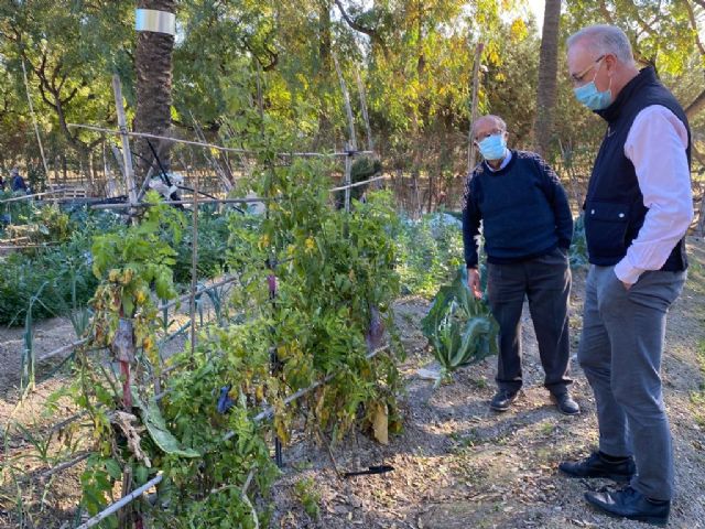Los usuarios de los huertos de ocio siguen un estricto protocolo para prevenir la aparición de contagios por Covid-19 en sus instalaciones - 1, Foto 1