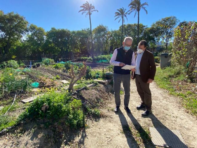 Los usuarios de los huertos de ocio siguen un estricto protocolo para prevenir la aparición de contagios por Covid-19 en sus instalaciones - 2, Foto 2