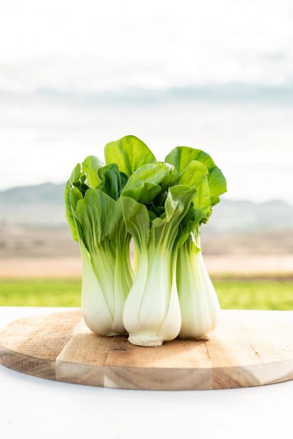 Primaflor lo cultiva desde hace más de diez años en su campo almeriense - 1, Foto 1