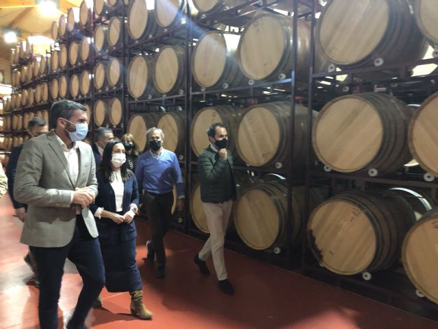 El Ejecutivo regional reclama del Gobierno central una postura clara y contundente de defensa del consumo moderado de vino - 1, Foto 1