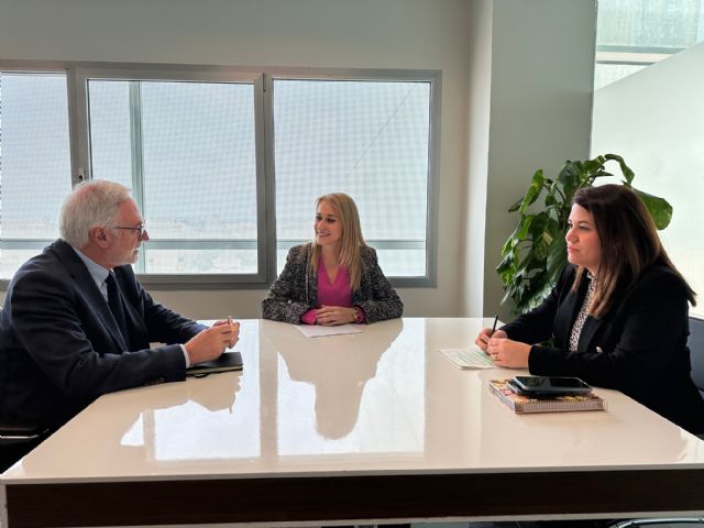 El alcalde de Torre Pacheco mantiene un encuentro con la Delegada del Gobierno - 3, Foto 3