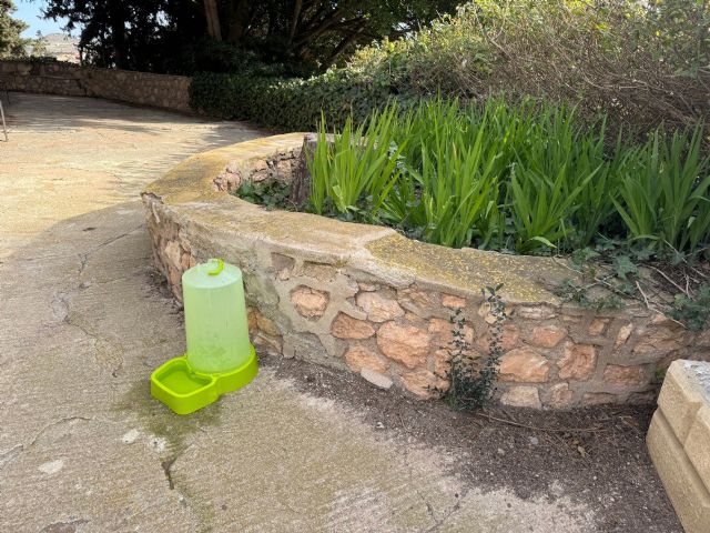 MC demanda una figura responsable que se encargue del cuidado de los animales en el Parque Torres - 1, Foto 1