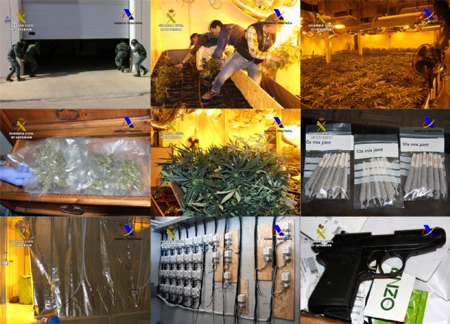 Desmantelada una organización criminal dedicada al cultivo de marihuana y su distribución en España y Holanda - 1, Foto 1