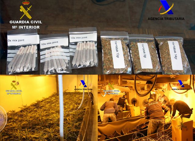 Desmantelada una organización criminal dedicada al cultivo de marihuana y su distribución en España y Holanda - 2, Foto 2