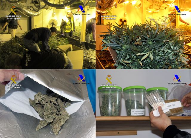 Desmantelada una organización criminal dedicada al cultivo de marihuana y su distribución en España y Holanda - 3, Foto 3