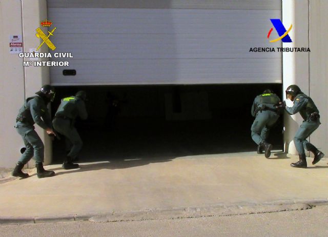 Desmantelada una organización criminal dedicada al cultivo de marihuana y su distribución en España y Holanda - 4, Foto 4