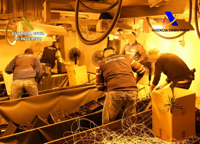 Desmantelada una organización criminal dedicada al cultivo de marihuana y su distribución en España y Holanda - 5, Foto 5