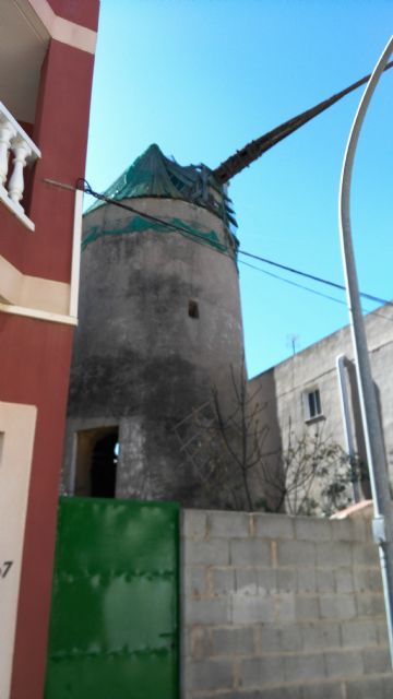 MC defiende el papel de Daphne en la recuperación de los molinos de viento del Campo de Cartagena - 1, Foto 1