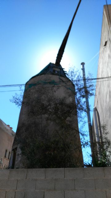 MC defiende el papel de Daphne en la recuperación de los molinos de viento del Campo de Cartagena - 2, Foto 2