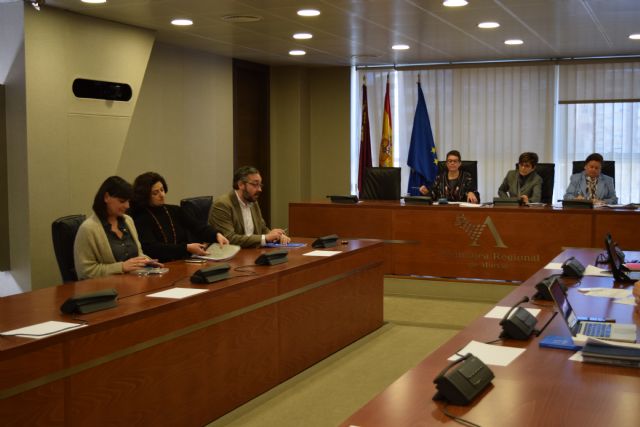 El PP se opone al gasto extraordinario de abrir la Asamblea los miércoles por la tarde mientras sigan los viernes libres - 1, Foto 1