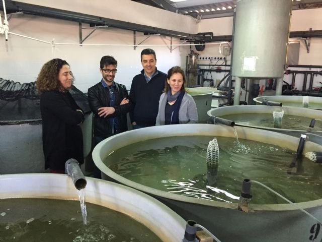 El IMIDA lleva a cabo proyectos de investigación para desarrollar una acuicultura sostenible en la Región - 1, Foto 1