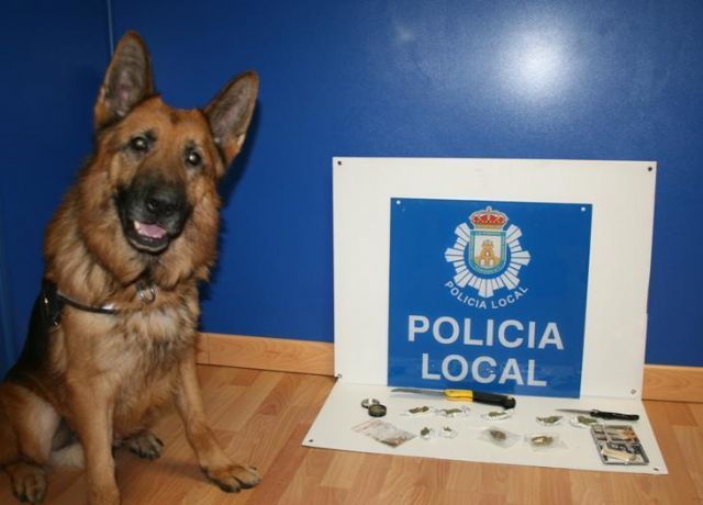 El agente canino Zar desmantela un nuevo punto de venta de sustancias psicotrópicas - 1, Foto 1