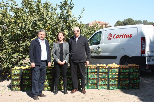 Agricultura dona 500 kilos de limón y pomelo a Cáritas en Torre Pacheco - 1, Foto 1