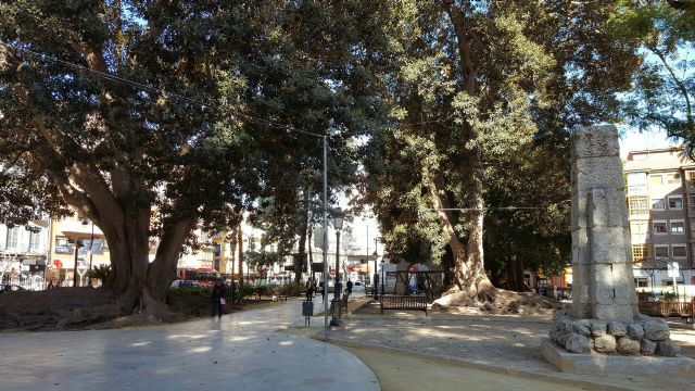 HUERMUR denuncia al ayuntamiento por plagar de cables el protegido jardín de Floridablanca - 5, Foto 5