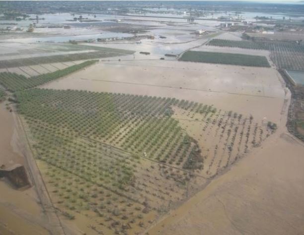 El PSOE pide que las ayudas por las consecuencias del temporal sean retroactivas - 1, Foto 1
