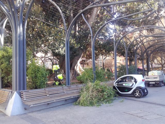 El Servicio de Parques y Jardines incorpora nuevos vehículos eléctricos - 1, Foto 1