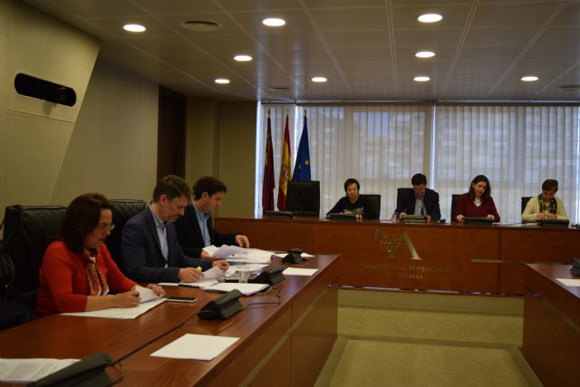 La Asamblea insta a reformar el sistema universitario para fomentar la excelencia docente y atraer el talento - 1, Foto 1