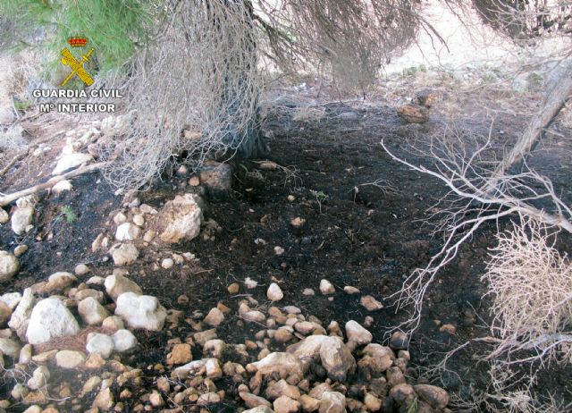 La Guardia Civil investiga a dos personas por sendos incendios que arrasaron cerca de una hectárea de masa forestal - 1, Foto 1