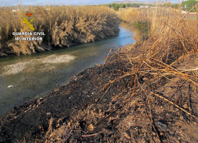 La Guardia Civil investiga a dos personas por sendos incendios que arrasaron cerca de una hectárea de masa forestal - 3, Foto 3