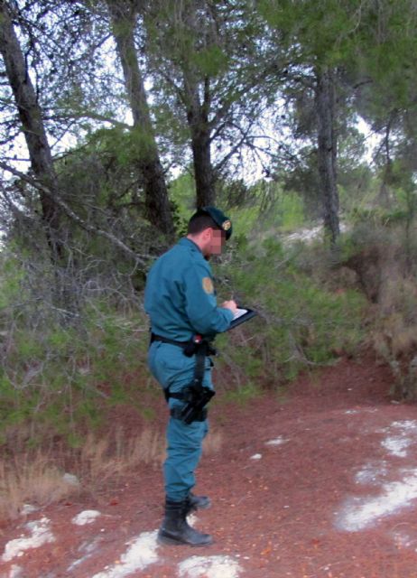 La Guardia Civil investiga a dos personas por sendos incendios que arrasaron cerca de una hectárea de masa forestal - 4, Foto 4