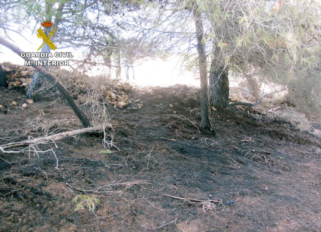 La Guardia Civil investiga a dos personas por sendos incendios que arrasaron cerca de una hectárea de masa forestal - 5, Foto 5