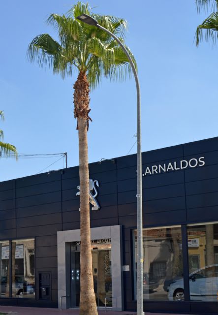 El Ayuntamiento torreño alerta del robo de cable del alumbrado público en todo el municipio - 1, Foto 1