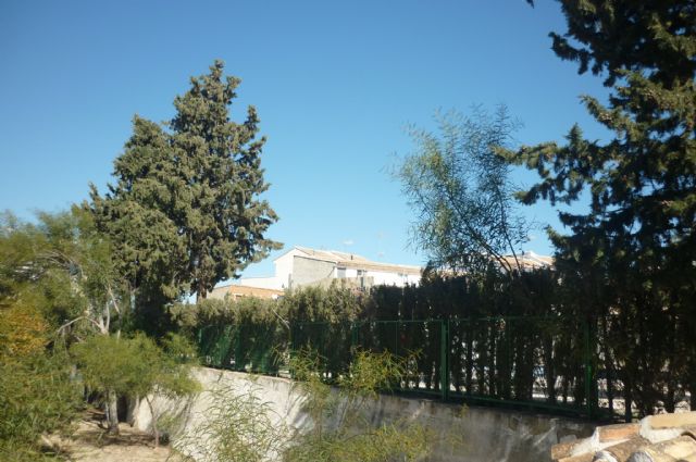 Se están realizando reformas en la piscina municipal - 4, Foto 4