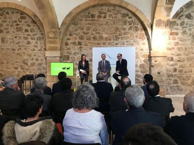 La Comunidad respalda el sector del caballo y prevé un crecimiento del 13 por ciento en tres años - 1, Foto 1