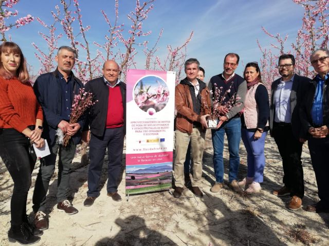 Las ramas de frutales de hueso se transformarán en elementos ornamentales en un proyecto pionero impulsado por Agricultura - 2, Foto 2