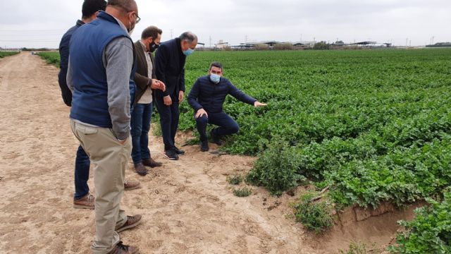Resultados positivos en el uso de biofertilizantes para eliminar el aporte de nitrógeno a la agricultura del Campo de Cartagena - 1, Foto 1