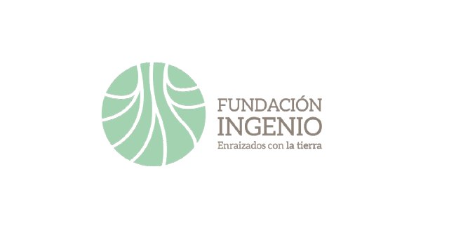 La Fundación Ingenio comparece en la Asamblea: No dejemos a nadie atrás - 1, Foto 1