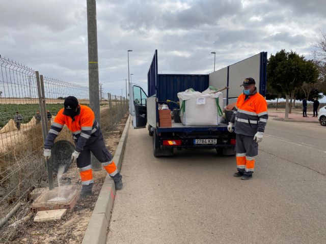 El Ayuntamiento procede a la mejora del alumbrado en la avenida de las Américas de Roldán - 2, Foto 2