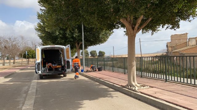 El Ayuntamiento procede a la mejora del alumbrado en la avenida de las Américas de Roldán - 3, Foto 3