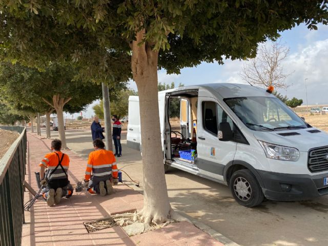 El Ayuntamiento procede a la mejora del alumbrado en la avenida de las Américas de Roldán - 4, Foto 4