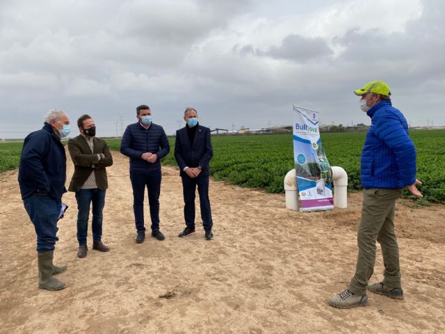 Resultados positivos en el uso de biofertilizantes para eliminar el aporte de nitrógeno a la agricultura - 1, Foto 1