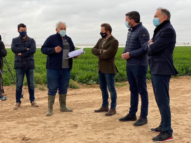 Resultados positivos en el uso de biofertilizantes para eliminar el aporte de nitrógeno a la agricultura - 2, Foto 2