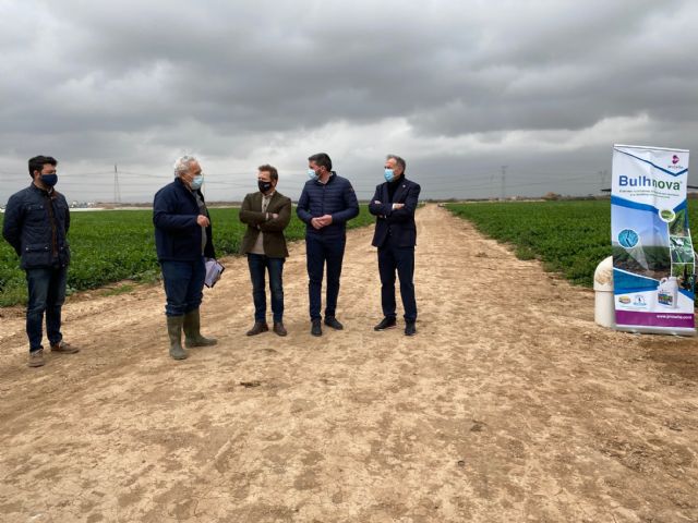 Resultados positivos en el uso de biofertilizantes para eliminar el aporte de nitrógeno a la agricultura - 3, Foto 3