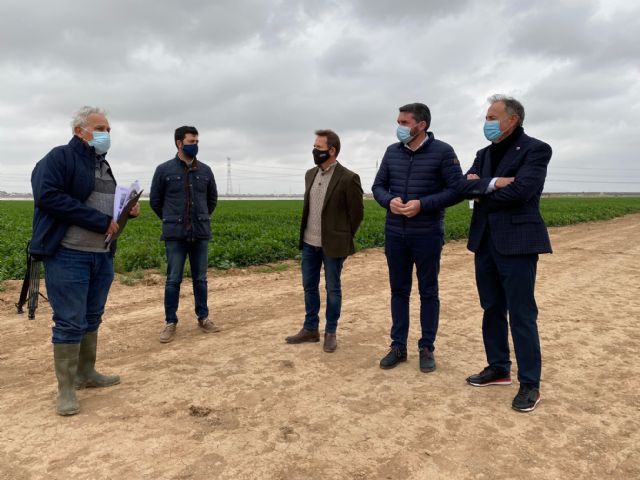 Resultados positivos en el uso de biofertilizantes para eliminar el aporte de nitrógeno a la agricultura - 4, Foto 4