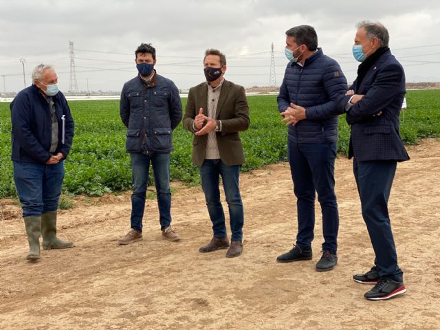 Resultados positivos en el uso de biofertilizantes para eliminar el aporte de nitrógeno a la agricultura - 5, Foto 5