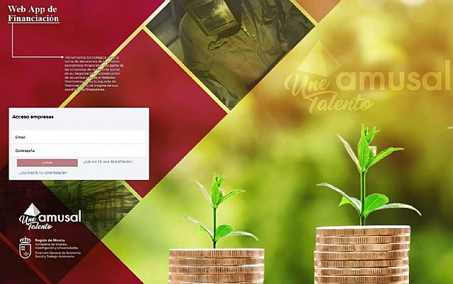 WebApp para la toma de decisiones de la gestión económica y financiera en las empresas de economía social - 1, Foto 1