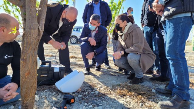 La Región de Murcia es pionera en Europa en el uso de sensores inyectados en árboles frutales para reducir el consumo de agua - 1, Foto 1