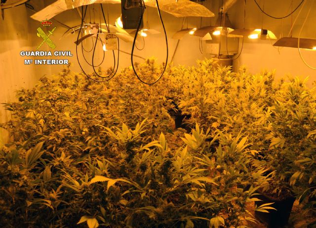 La Guardia Civil desmantela en Murcia una plantación de marihuana tipo indoor - 2, Foto 2