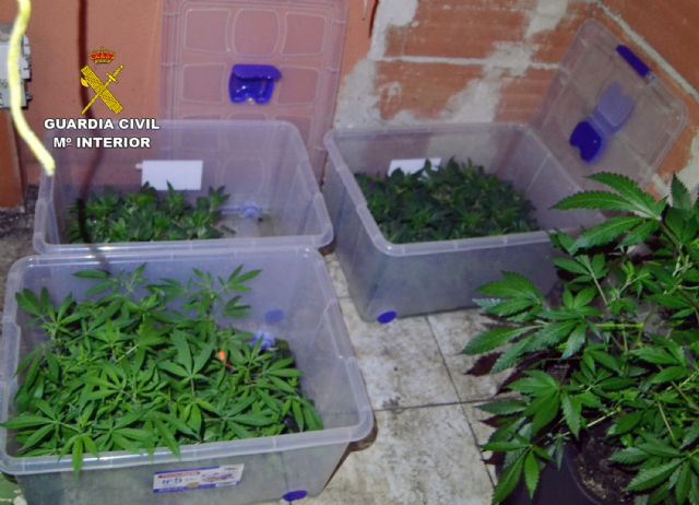 La Guardia Civil desmantela en Murcia una plantación de marihuana tipo indoor - 3, Foto 3