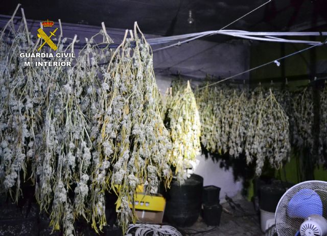 La Guardia Civil desmantela en Murcia una plantación de marihuana tipo indoor - 4, Foto 4