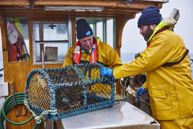 Mares Para Siempre, el camino hacia la sostenibilidad de la pesca en España - 1, Foto 1