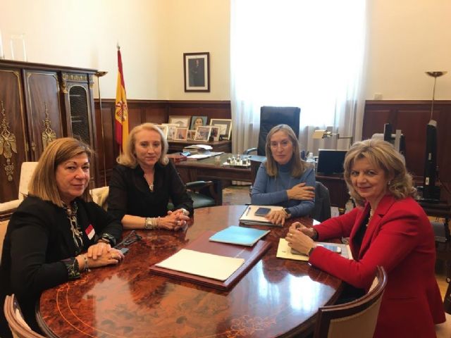 SAE presenta a Ana Pastor y a Elvira Velasco sus alegaciones al estatuto marco - 1, Foto 1